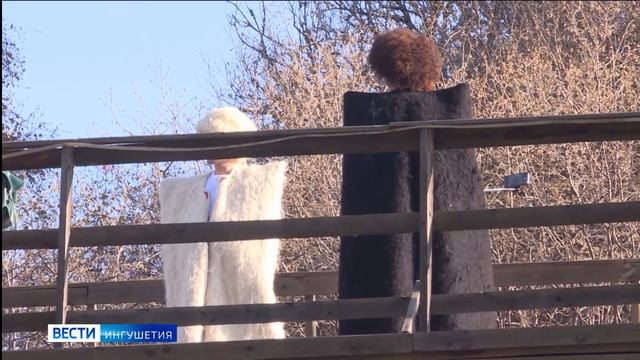 На развитие туротрасли Ингушетия получит более 180 млн рублей смотреть онлайн