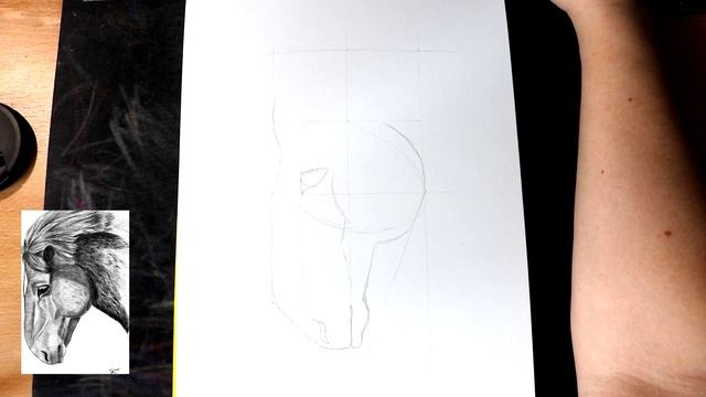 Как нарисовать лошадь карандашом шаг за шагом. Схема построения. (13.01.2019) смотреть онлайн