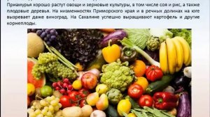 Природные ресурсы Дальнего Востока. География 8 класс.