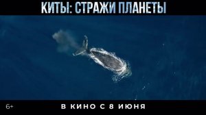 Киты: Стражи планеты (2023)