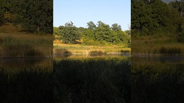 пруд Жабник, Гиёвка, Люботин,трасса Харьков - Днепр смотреть онлайн