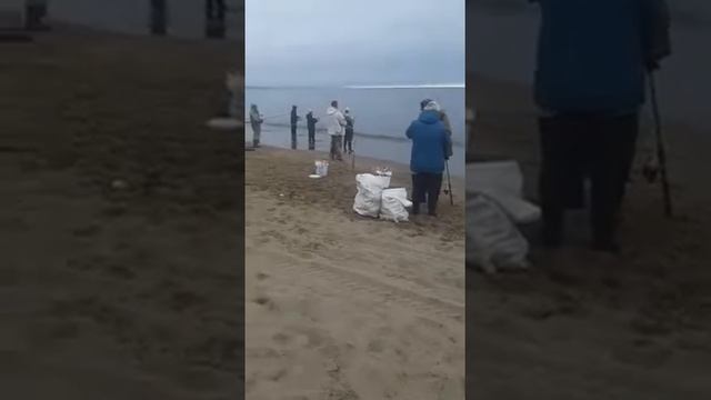 Лов краба на удочку. смотреть онлайн
