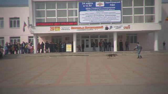 Самый главный плюс у собаки ♡ смотреть онлайн