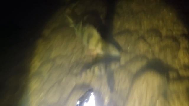 Подводная охота на Волге смотреть онлайн