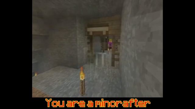 Diamond Mining - A Minecraft Parody of Kung Fu Fighting [Lyrics/Songtext] смотреть онлайн
