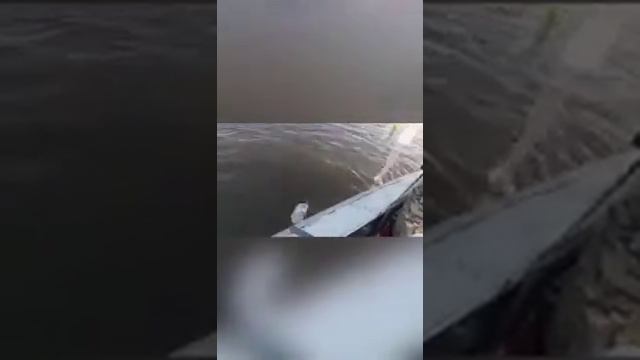 Горы есть высокие, горы есть далекие смотреть онлайн