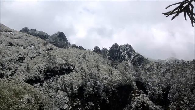 VISIT CHILE: National Park Huerquehue Hiking San Sebastian смотреть онлайн