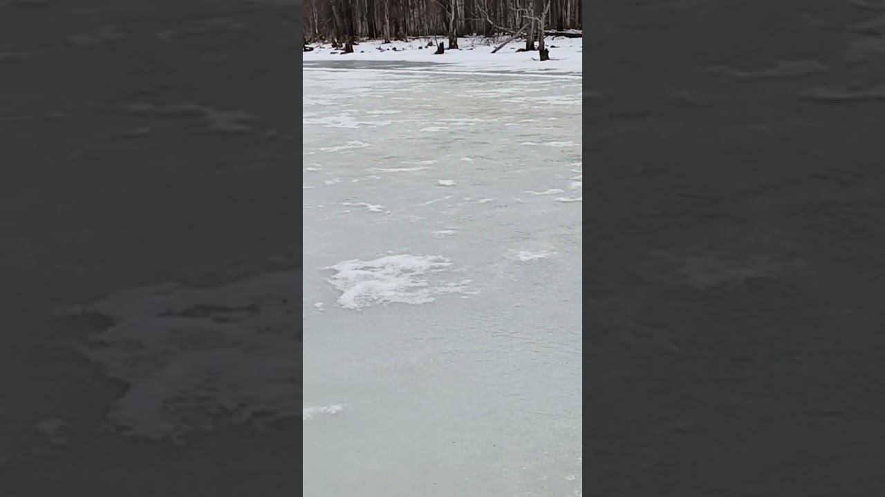 Последний лёд на лесном озере. смотреть онлайн