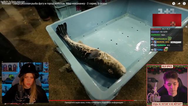 Пидофилия в Японии ► Алина Рин и Хесус ► AlinaRin Rofls