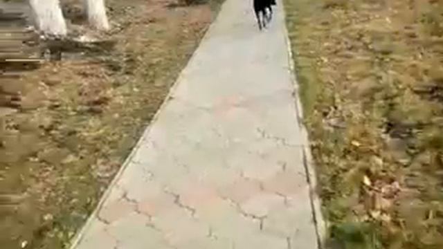 Магия, и все о ней! смотреть онлайн