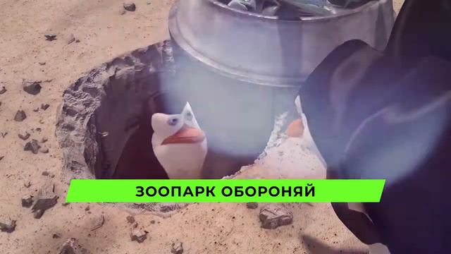 песня клип пингвины мадогаскара Умар Воздингов смотреть онлайн
