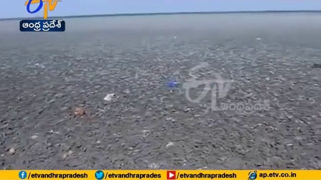 63 mandals in Anantapur District declared drought hit смотреть онлайн