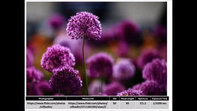 sample photos from Canon EF 85 mm f/1.2 смотреть онлайн