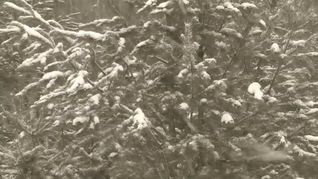 Снег,снег,снег облаками падает смотреть онлайн