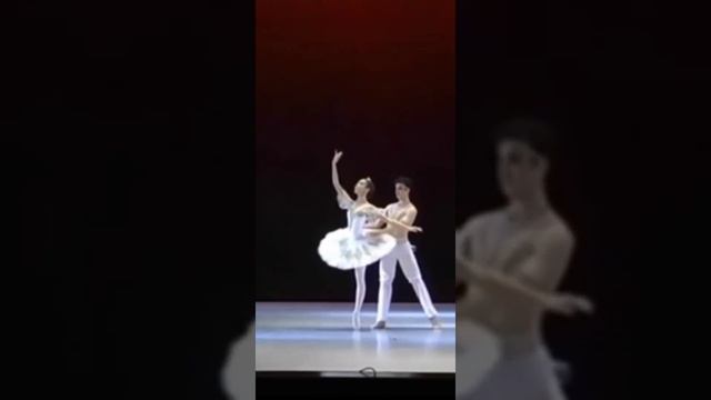 Дуэтно-классический танец смотреть онлайн