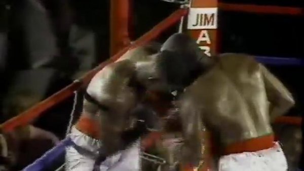 Evander Holyfield vs Dwight Qawi