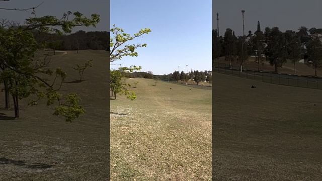 WLTOYS 144001 Full speed range test смотреть онлайн