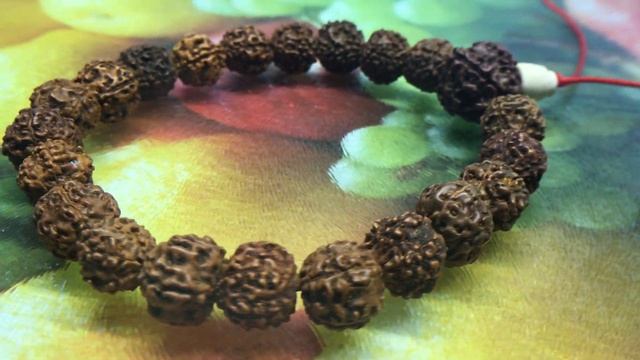 Чётки из рудракши, 21 бусина, d~12-13 мм, L~13 см, четки, мала, медитация,Будда, рудракша, rudraksh смотреть онлайн