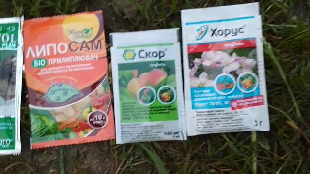 КАК СПАСТИ ПЕРСИК?How to save peach? смотреть онлайн