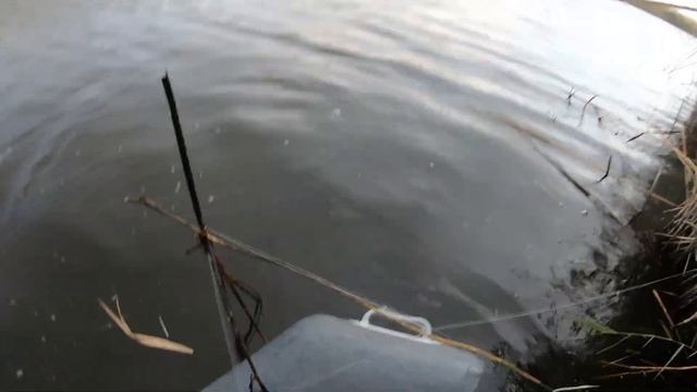 Выезд за хищником на реку Сарысу смотреть онлайн