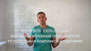 Средство от червивых яблок? Как справиться с яблонной плодожоркой?