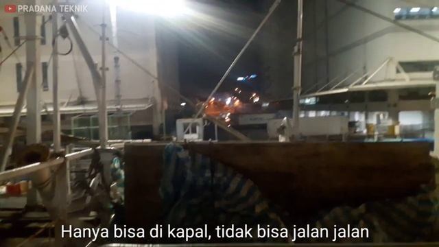 Bongkar ikan samba di Pelabuhan BUSAN KOREA selatan смотреть онлайн