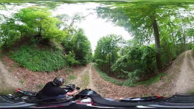 ural gespann offroad im Wald 360 VR смотреть онлайн