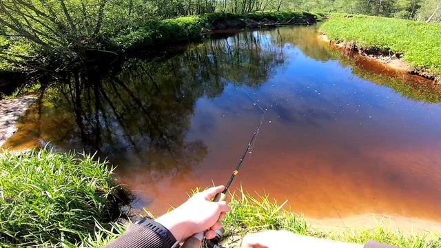 хариус в мае 2021 смотреть онлайн