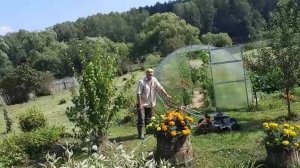 С ГАЗОНАМИ РАЗОБРАЛИСЬ,ВСЁ ПЕРЕСТИРАЛИ, ПОСОЛИЛИ РЫЖИКИ.