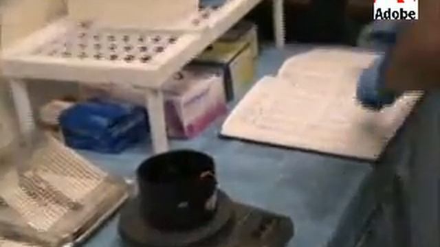 Walter's Eggcellent Adventure смотреть онлайн