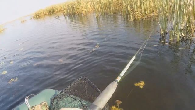 ЗА ЩУКОЙ В НОЯБРЕ С ПОДПИСЧИКОМ. СЕЗОН 2020 смотреть онлайн