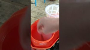 Баковая смесь для первой весенней обработки клубники.  #выращиваниеклубники #садоводство