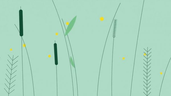 Apple Health - Activity