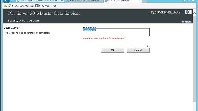 Creating new Users and manage Groups in SQL 2016 Master Data Service смотреть онлайн