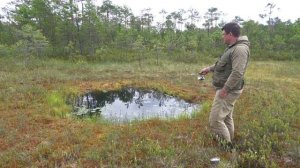 Думал так не бывает.Дикий ЖОР в нано озере. Рыбалка 2021