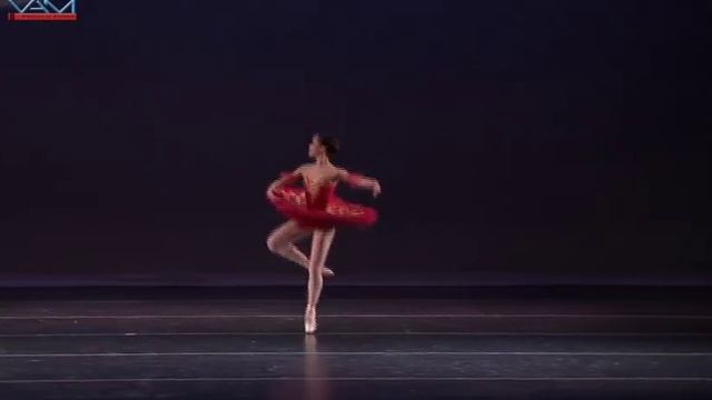 Erica Raver 15-Paquita-YAGP Atlanta смотреть онлайн