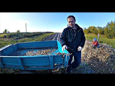 ЗАЧЕМ НУЖНА СТРУЖКА? КУПИЛИ УГОЛЬ смотреть онлайн