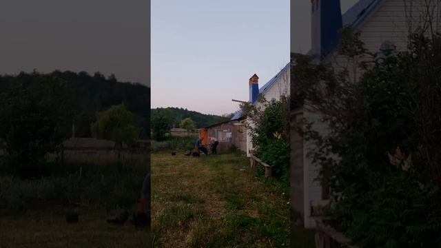 Косили, травушку,