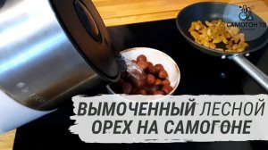 Еще одна домашняя настойка на лесном орехе (фундуке)