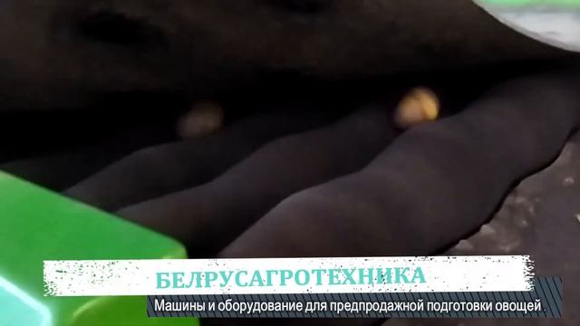 Линия предпродажной подготовки овощей смотреть онлайн