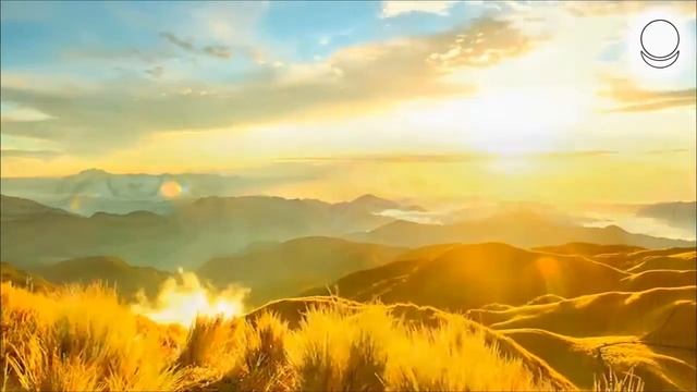 Что шелестит в лесу Зинаида Миркина; Nikosho смотреть онлайн