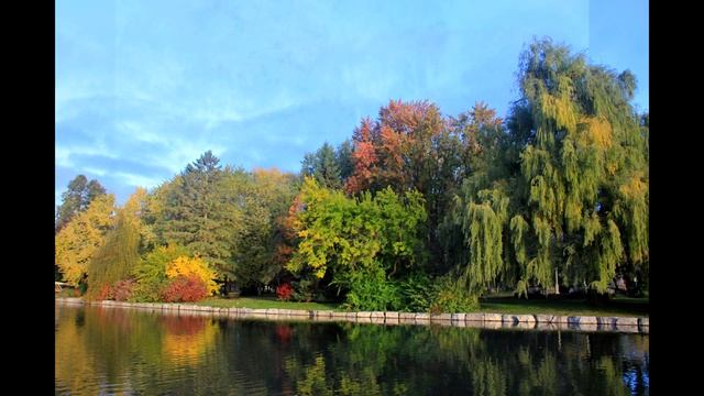 Poetry of Nature Поэзия Природы Читает автор смотреть онлайн