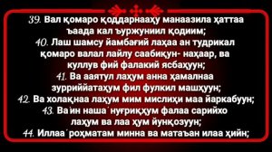 Ясин сура текст | Ёсин сураси узбек тилида ёдлаш