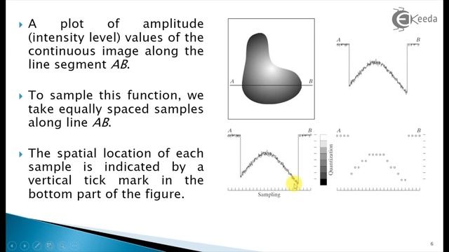 Image Sampling and Quantization - Digital Image Fundamentals- Image Processing смотреть онлайн