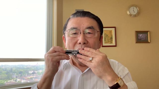 《万水千山总是情》Tremolo Harmonica Solo口琴独奏 смотреть онлайн