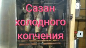 Сазан холодного копчения.