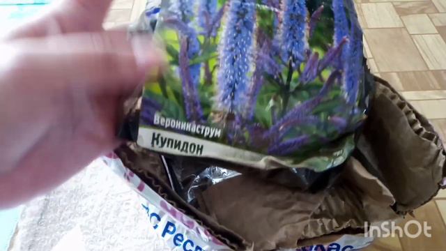 ДВЕ ПОСЫЛКИ ДЛЯ СЧАСТЬЯ ЦВЕТОК. ШОП / ИГРУШКИ