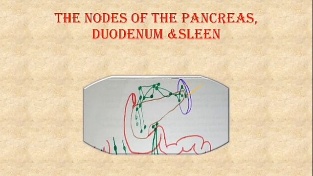 Lymphatic Drainage of the GIT Simplified - Vessels and Nodes смотреть онлайн