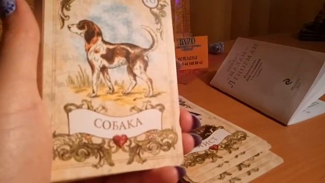 Моя новая колода Оракул - Мадам - ЛЕНОРМАН ! Для тех. кому интересны колоды Карт Таро! смотреть онлайн