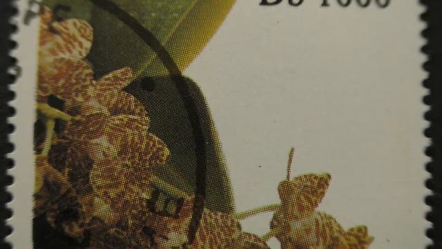 Postage stamp. São Tomé e Príncipe. Phal. Gigantea. 1996. Price 1000 dobras. смотреть онлайн